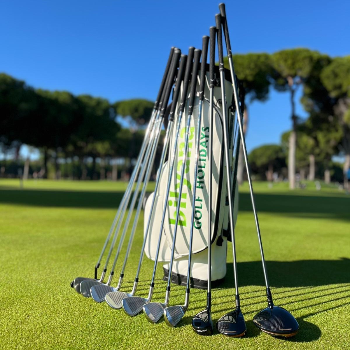 https://paymenr1.bilyanagolf.com/files/imaj/clubhire1.jpg